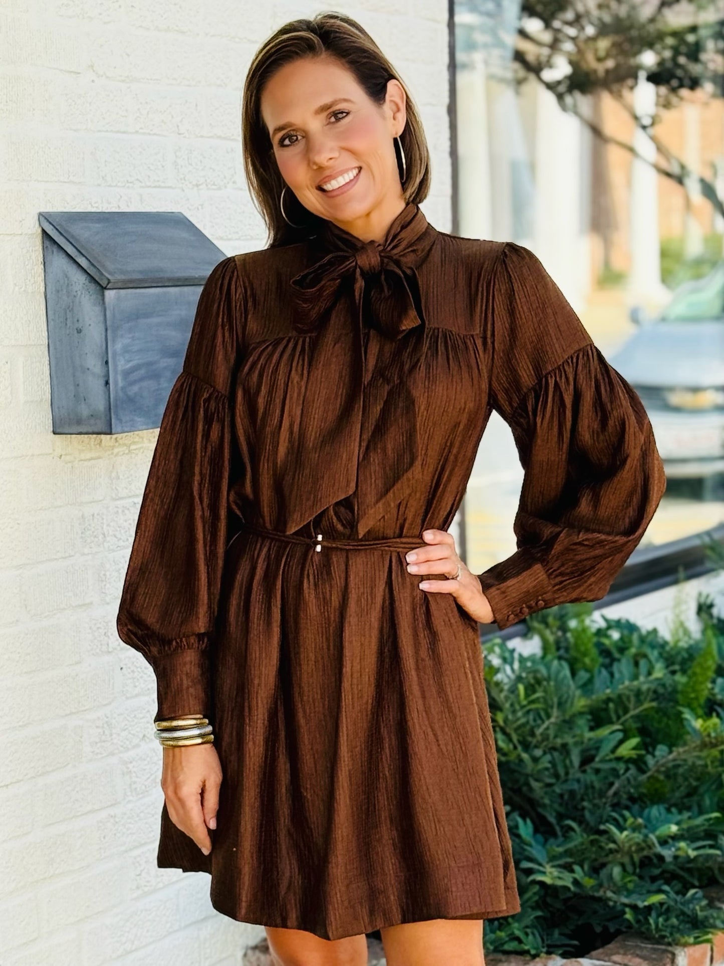 AR DAPHNE BRWN MINI DRS