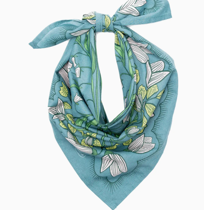 HB CASSIE SCARF