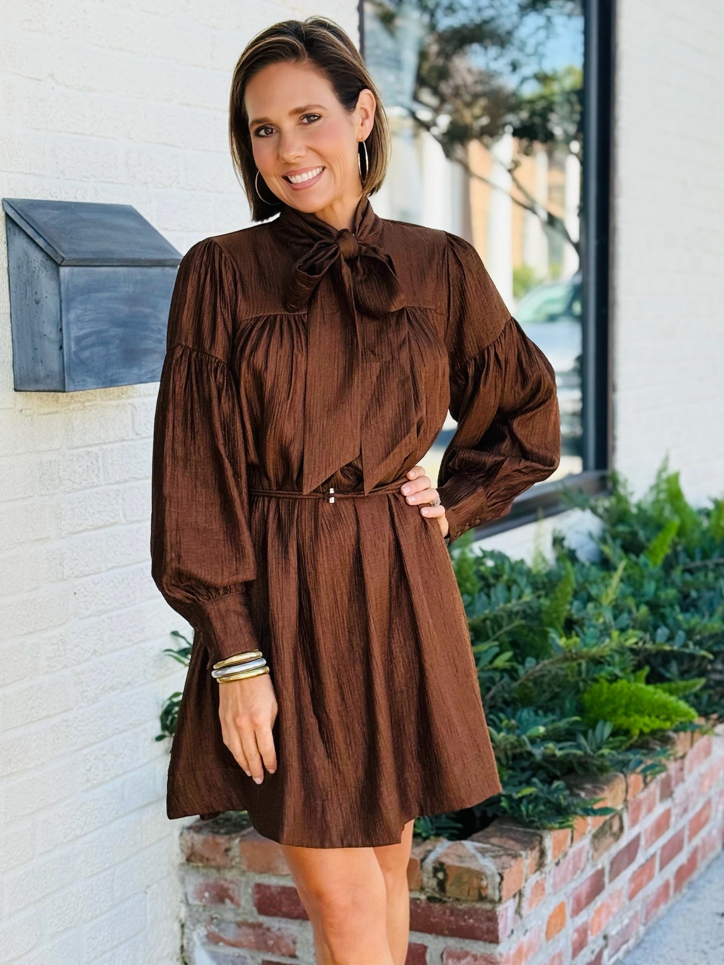 AR DAPHNE BRWN MINI DRS