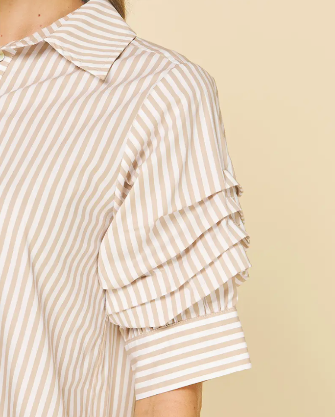 IP CAROLINA STRPE DRS