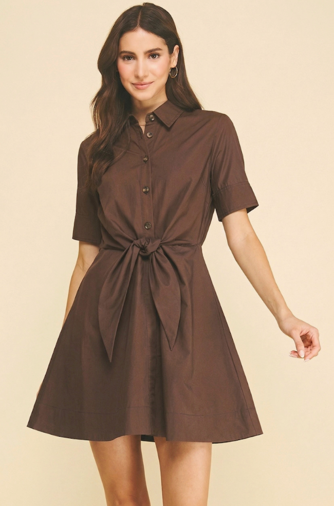 IP NICOLE BRWN DRESS