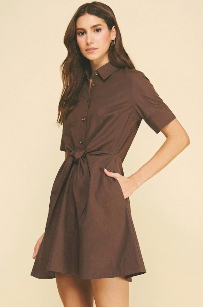 IP NICOLE BRWN DRESS