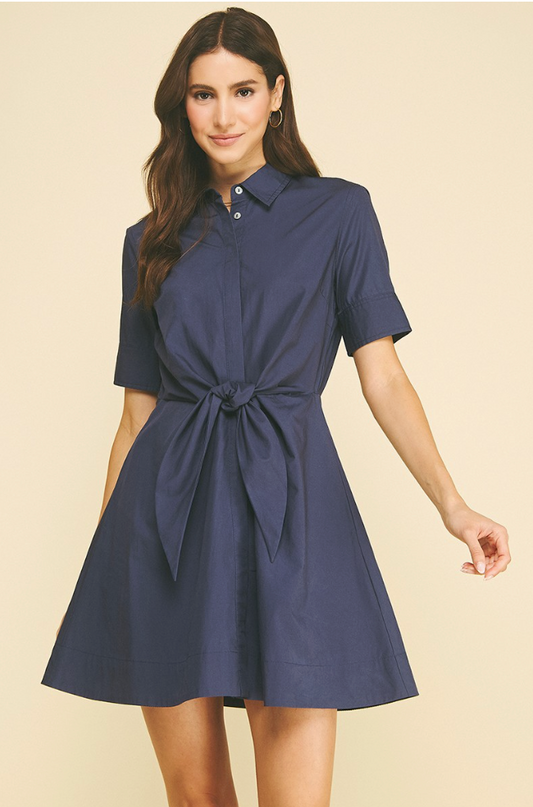 IP NICOLE NAVY DRESS